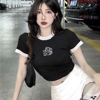 Áo KÌ LÂN GB viền cổ tay croptop tay ngắn cổ tròn Thời Trang Cho Nữ - Thiên Yết