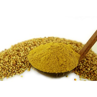 Bột ngò Ấn Độ - Coriander Powder