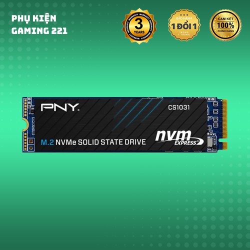 SSD PNY CS1031 M.2 2280 NVMe Gen3x4 256GB - Hàng Chính Hãng