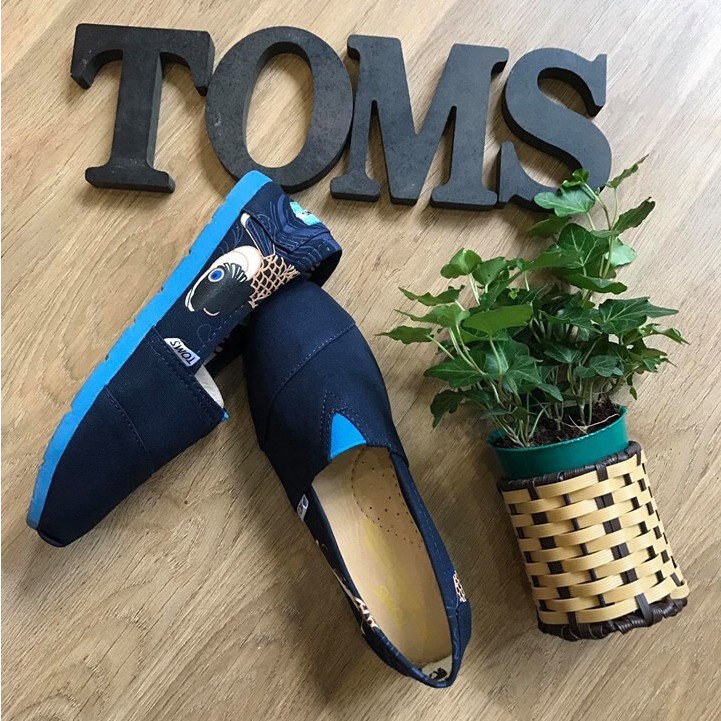 ⚡️[FREE SHIP]⚡️Giày toms Cá Chép | BigBuy360 - bigbuy360.vn
