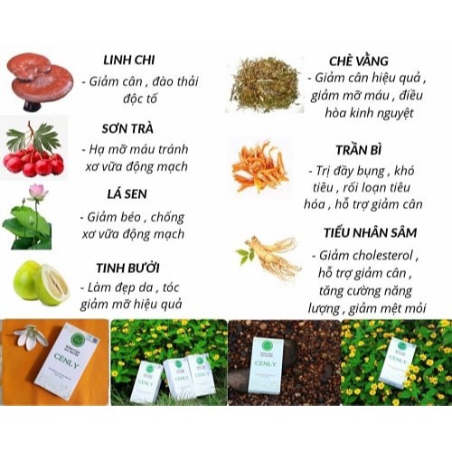 Thảo Mộc Giảm Cân Cenly Chính Hãng - Không Mệt Mỏi, Giảm Cân Nhanh, Không Tác Dụng Phụ | BigBuy360 - bigbuy360.vn
