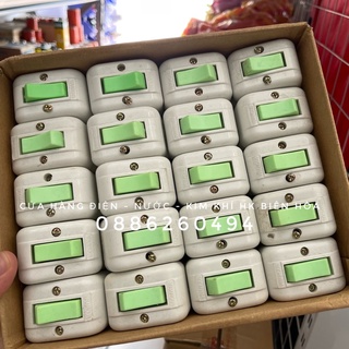 Công tắc rùa vina