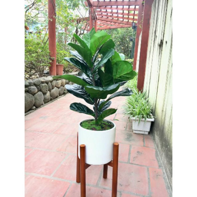 Đôn gỗ kê chậu cây đủ size