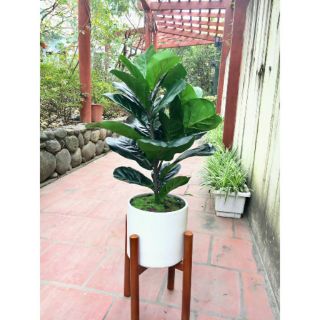 Đôn gỗ kê chậu cây đủ size