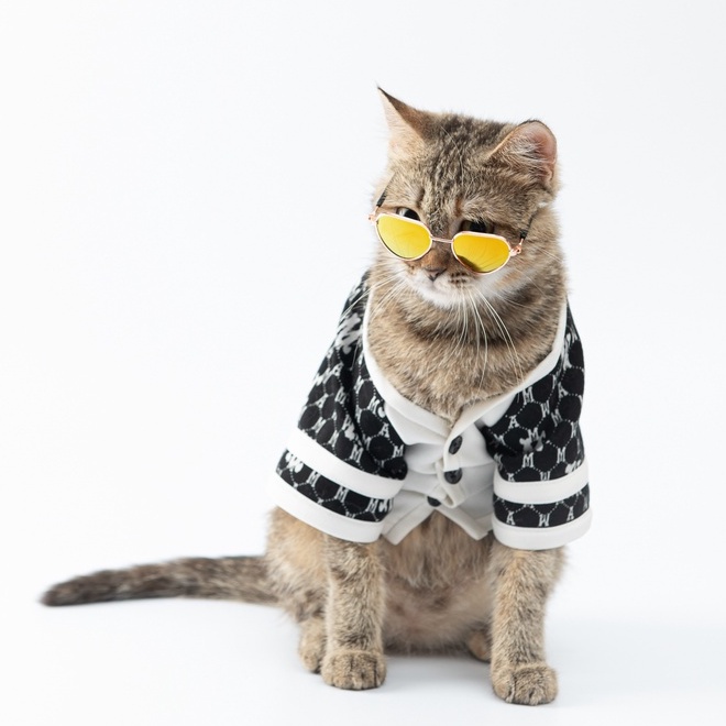 Áo Sơmi bóng chày hàng hiệu cho thú cưng - SaboCoco - Baseball Shirt - TAY TRẮNG HỌA TIẾT CHỮ M