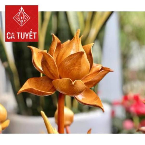 BÌNH HOA SEN LÀM BẰNG GỖ MÍT
