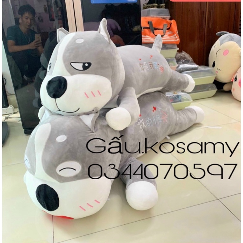 Chó husky mặt phê✨Freeship✨Gấu chó 1m3 khổng lồ vải nỉ nhung cao cấp