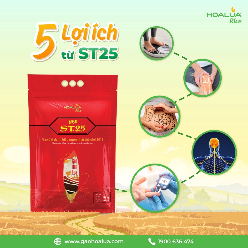 Gạo ST25 Hoa Lúa túi 5kg - Dẻo nhiều, mềm cơm, thơm lá dứa