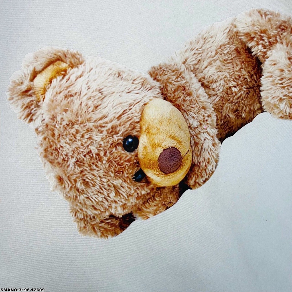 (Hàng Mới Về)Áo Phông Cổ Tròn In Gấu, Cotton Siêu Mịn Dày Dặn Thoải Mái Thấm Hút Mồ Hôi Mã GAREM 2354