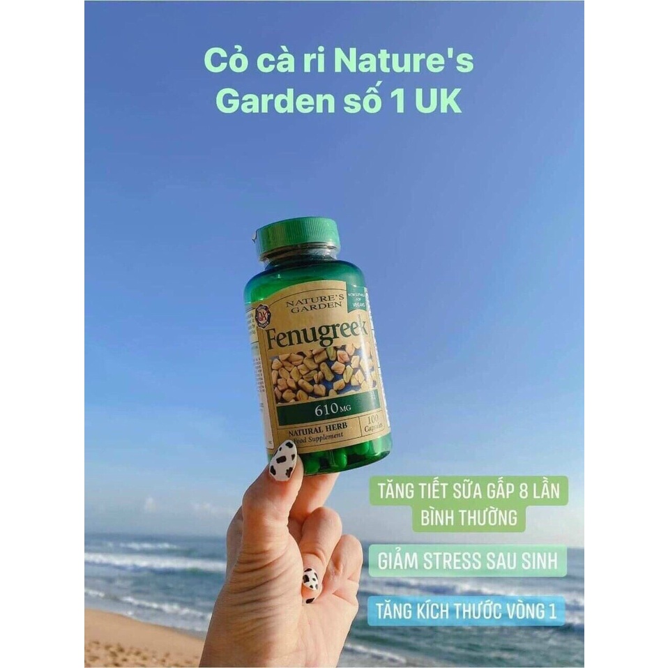 Cỏ cà ri lợi sữa Fenugreek 610mg Natures Garden UK - Herbaby