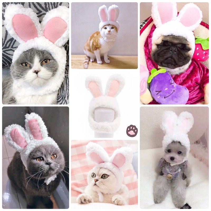 🎅🏻 Phụ kiện Nón mũ Noel Giáng sinh cho chó mèo