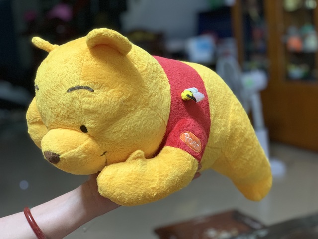 Pooh Ong 60cm