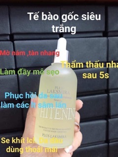 Serum Tế Bào Gốc Laksmira Plus 100ml
