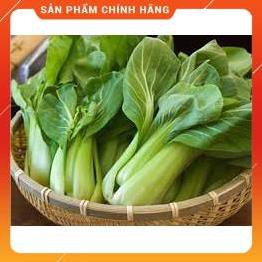 HẠT GIỐNG CẢI CHÍP CAO SẢN