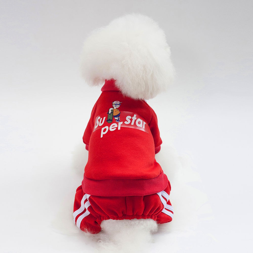 Quần áo cho chó Mùa đông Mới trượt ván trẻ em len Teddy Con nhỏ Thú cưng Thu / ấm
