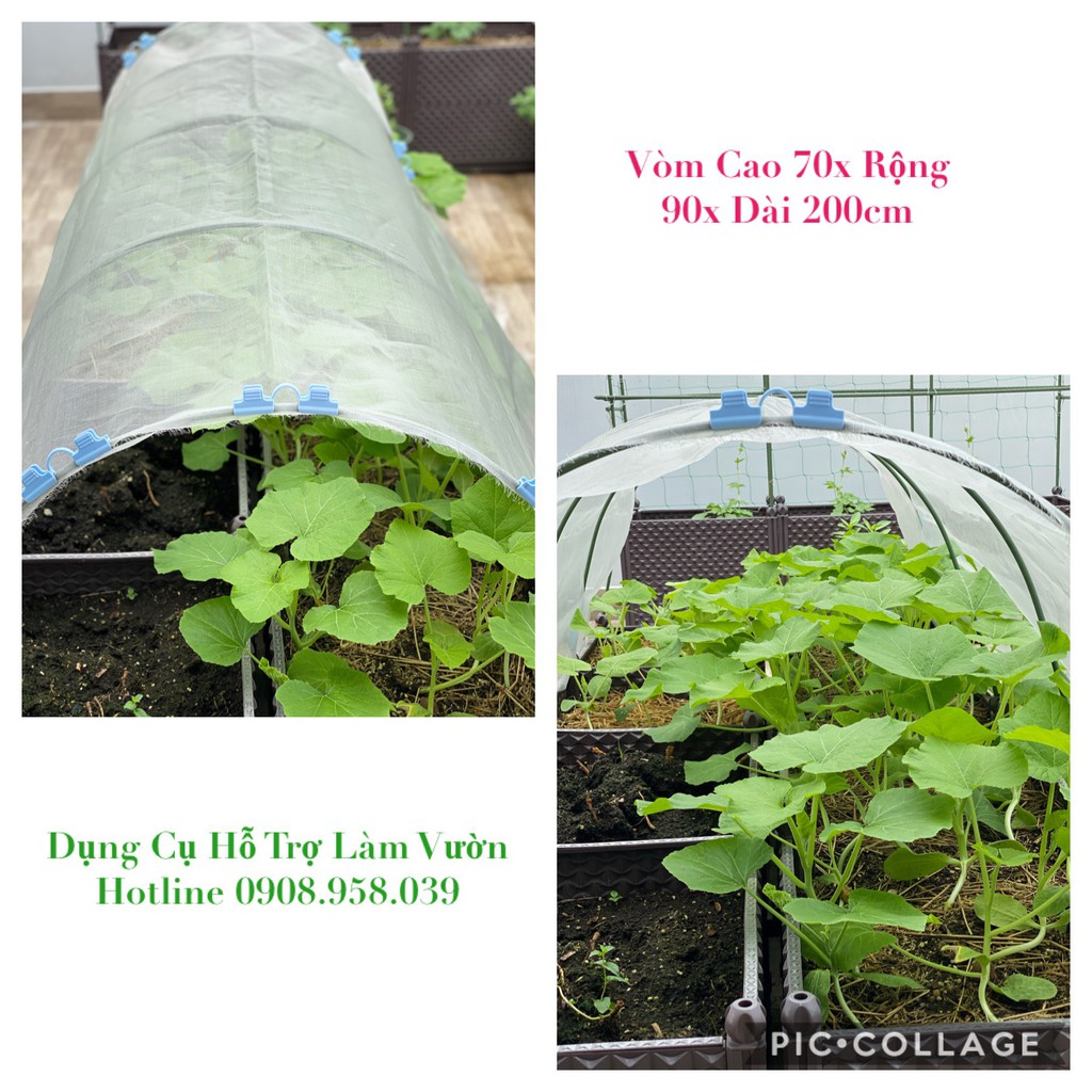 Khung vòm trồng rau ăn lá cao 70cm rộng 90cm dài 200cm