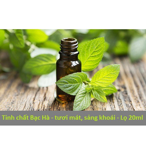 Combo 2 lọ Tinh dầu Bạc hà cao cấp lọ 20ml_tặng 1 lọ cùng loại