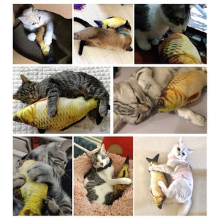 Đồ chơi cá nhồi bông các loại với catnip cho chó mèo size 18cm