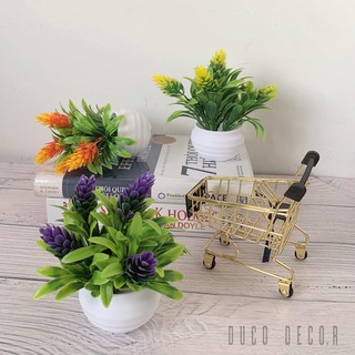 [CÂY HOA GIẢ TRANG TRÍ] CHẬU HOA NHỰA CAO 6CM NHIỀU MÀU