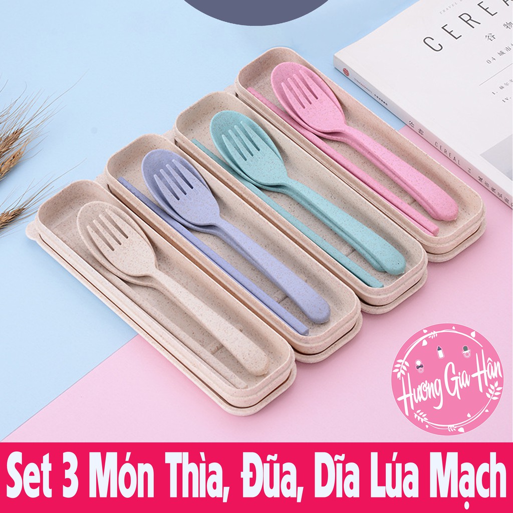 Set 3 Món Thìa, Đũa, Dĩa Lúa Mạch Có Hộp