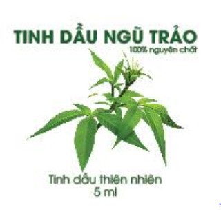 Tinh dầu Ngũ Trảo nguyên chất