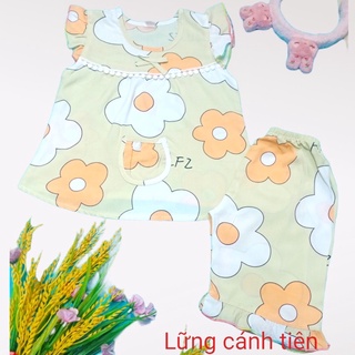 Bộ đồ tole lanh lửng bé gái đủ size