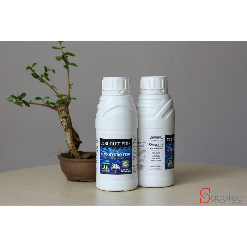 Phân Đạm Cá - Thủy phân cá Eco-Hydro Fish Chai 1 Lít