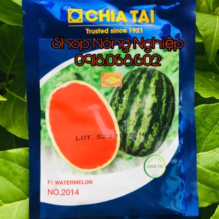 Hạt giống Dưa Hấu F1 Thái Lan 2014 CHIATAI