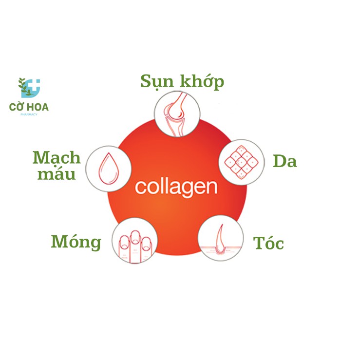 Viên bổ sung Collagen youtheory Collagen + Biotin- Hộp 390 viên | Thế Giới Skin Care