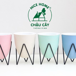 Chậu trồng hoa bằng nhựa - D03 Color (kèm kệ sắt) (Chậu)