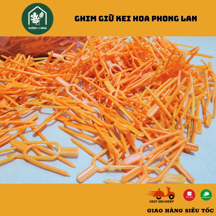 Dụng Cụ Làm Vườn - Kẹp Càng Cua Giữ Kei - Kẹp Ghim Kei cho Phong Lan