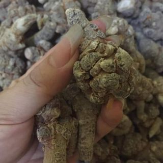 1kg củ tam thất loại 7 củ /100g (70 củ / 1kg