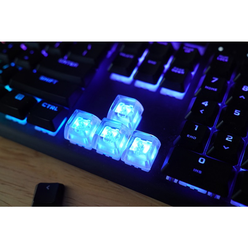 Nút Keycap Profile SA hàng R1 Lionvn