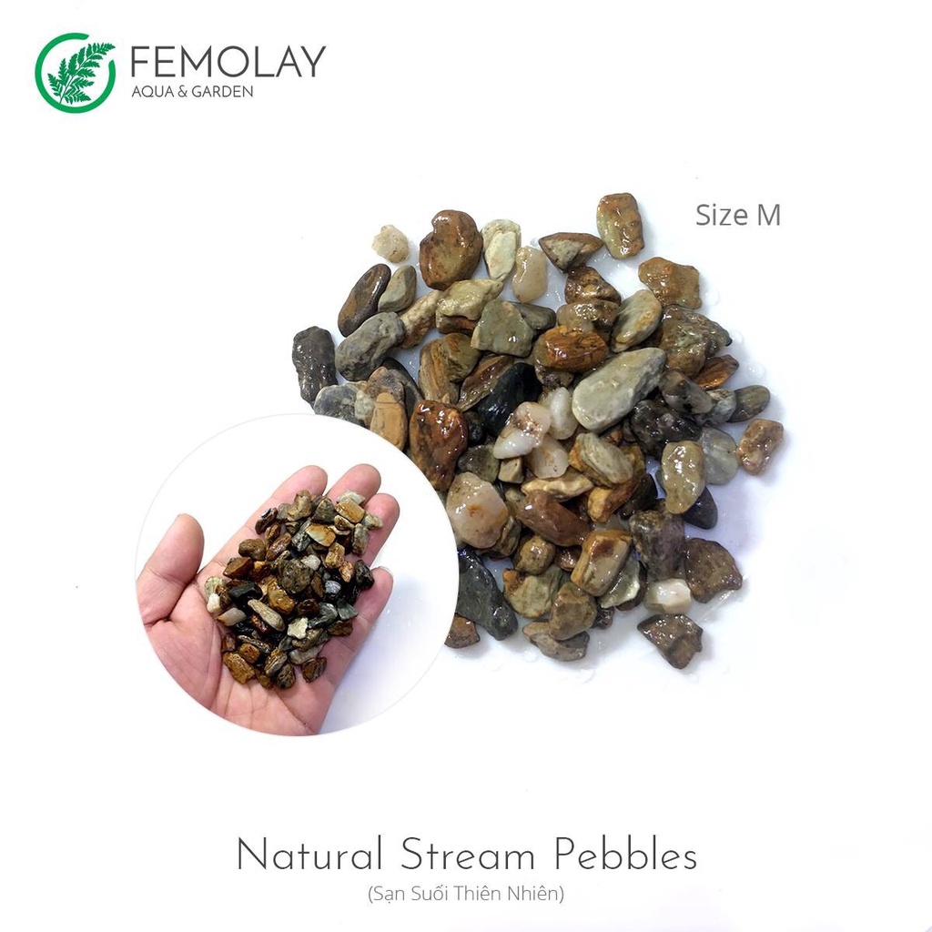 Sạn Suối Thiên Nhiên Femolay | Size M | Bao 2KG | Trang trí trải nền bể thủy sinh, Biotope.