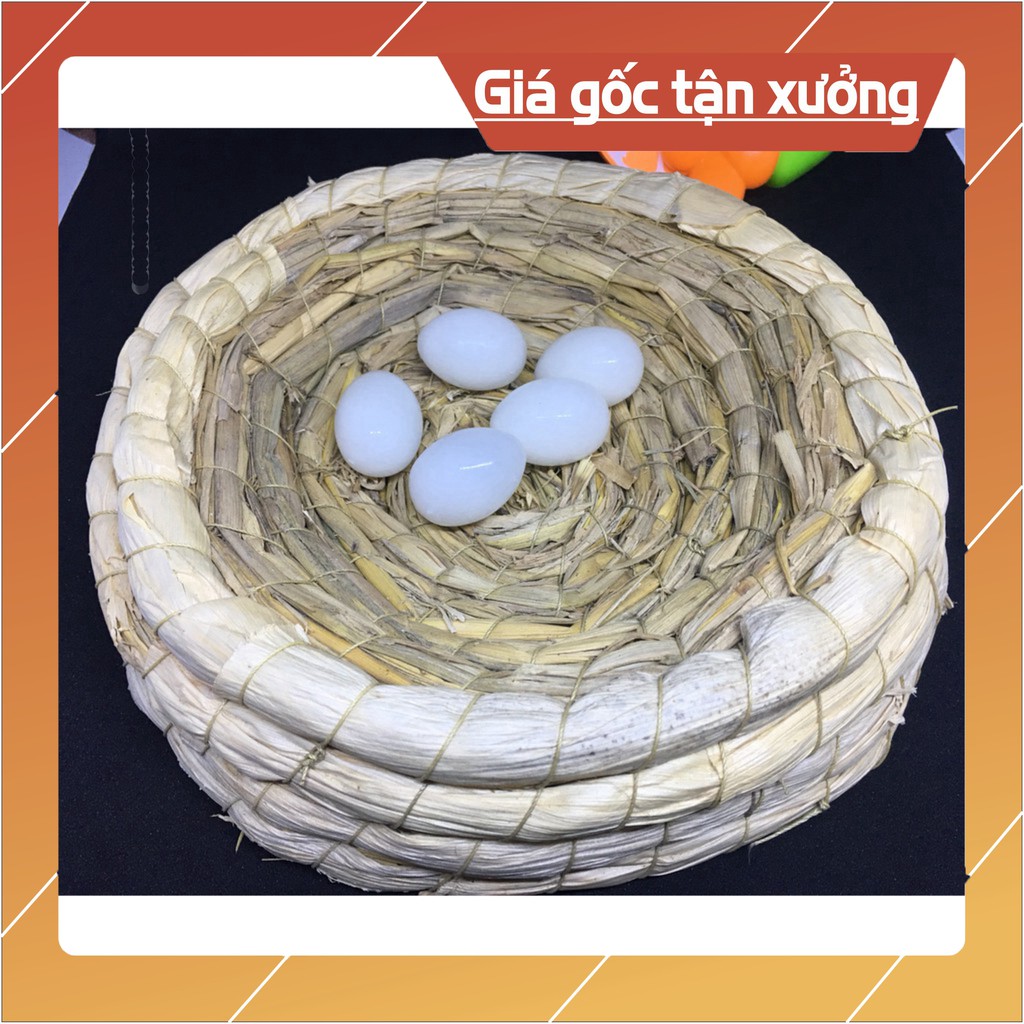 Ổ ĐẺ CHO CHIM BỒ CÂU