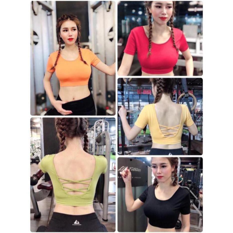 [EMMA] Áo Tập Gym Nữ Thể Thao [CROPTOP] Dệt Đan X Lưng Tay Ngắn Có Mút [ĐỒ TẬP]