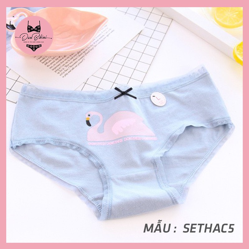 Quần Lót Nữ Cotton rẻ đẹp kháng khuẩn dễ thương màu sắc tươi mới trẻ trung mã C087