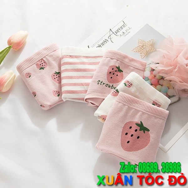 SỈ ZALO RẺ HƠN NHIỀU_ Quần Lót 5 Kiểu Dâu Tây Hồng Mới 5048 | BigBuy360 - bigbuy360.vn
