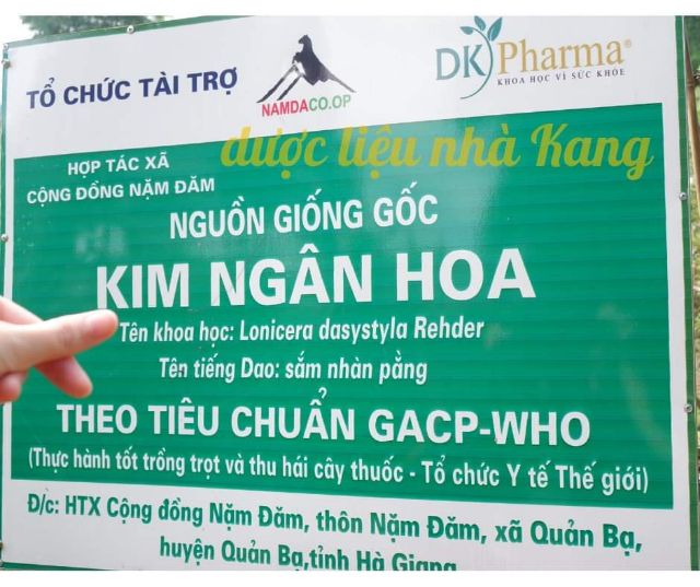 Nụ Kim Ngân Hoa 50 gam - Hợp tác xã cộng đồng Nặm Đăm, Quản Bạ, Hà Giang