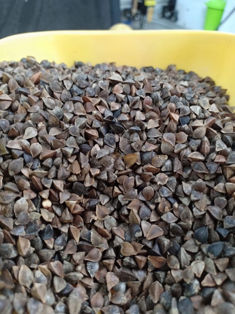 500g Hạt ba khía  .