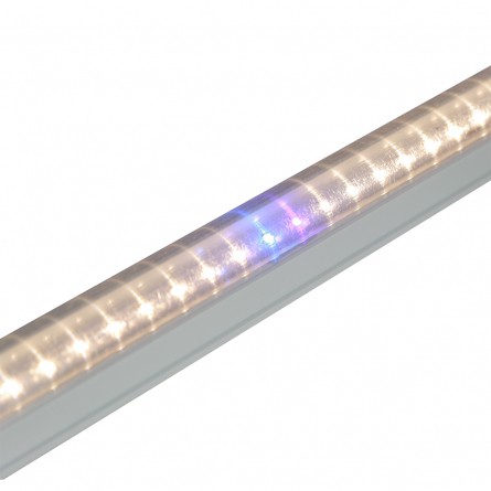 Đèn LED Trồng Cây và Quang Hợp Cho Cây Trong Nhà, Đủ Phổ Như Ánh Sáng Tự Nhiên, Chính Hãng Rạng Đông, Bảo Hành 2 Năm.