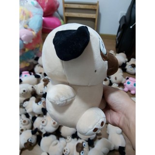 chó mặt quạu.nhăn.size 20cm