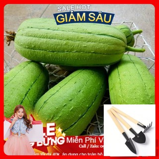 Hạt Giống Mướp Đài Loan - 10 Hạt / Gói - Tặng Kèm Bộ Dụng Cụ Trồng Cây Mini