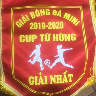 Combo cúp+ 2 cờ giải+7 huy chương vàng
