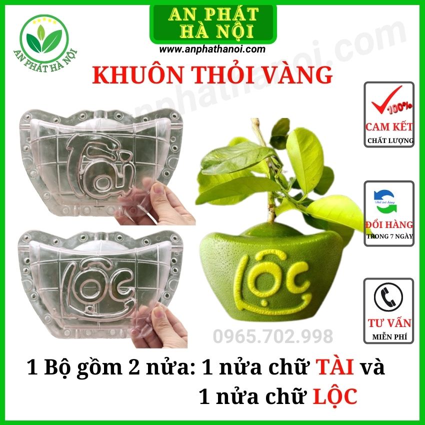 Khuôn thỏi vàng cỡ đại số 4 - khuôn dành cho bưởi da xanh - bưởi 2kg trở lên,dày 5 li to đẹp