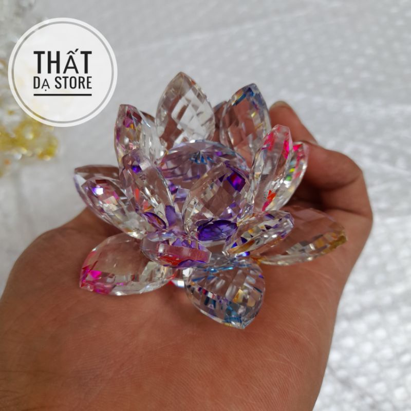 Mô hình Đấu Kỹ Phật Nộ Hỏa Liên Dị Hỏa Đấu Phá Thương Khung 8cm.