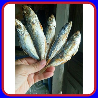 Cá nục khô hấp nhạt loại ngon - cá nục biển Nghệ An (size 100gr và 500gr)