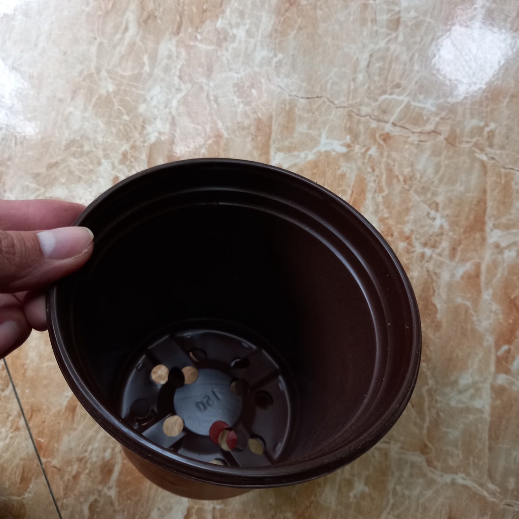 chậu nhựa ươm cây đường kính 10cm và đường kính 14,5cm