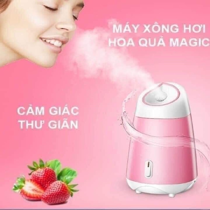 Máy xông mặt Magic Bullet có khoang chứa các loại hoa quả riêng