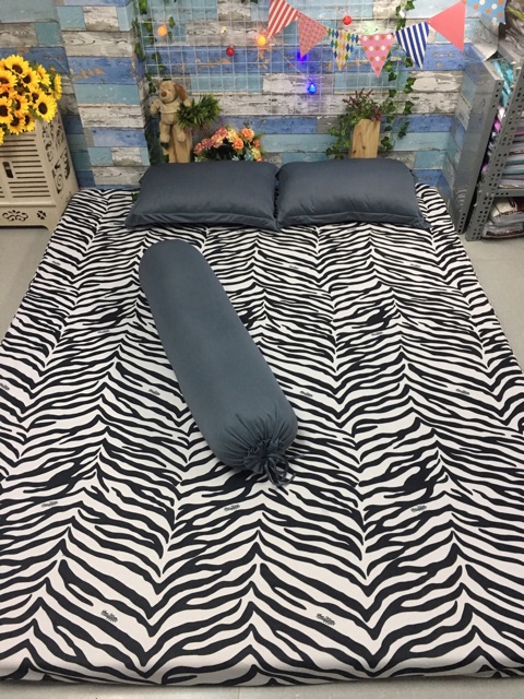 Bộ Drap Thun Vằn phối màu